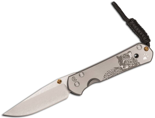 Складной нож Chris Reeve Large Sebenza 21 фото 3